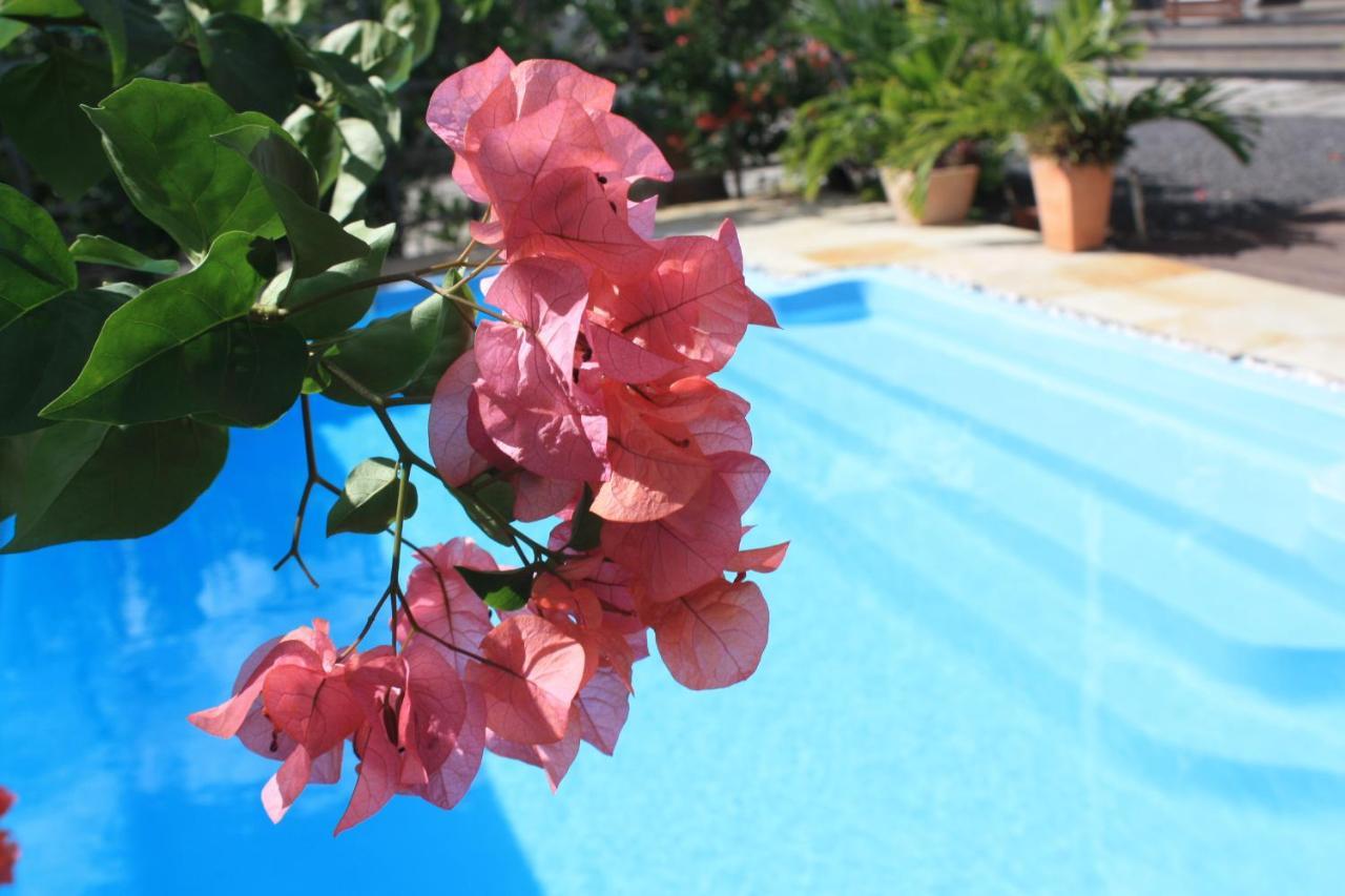 Roi Holiday Stay Grand Baie Exterior foto